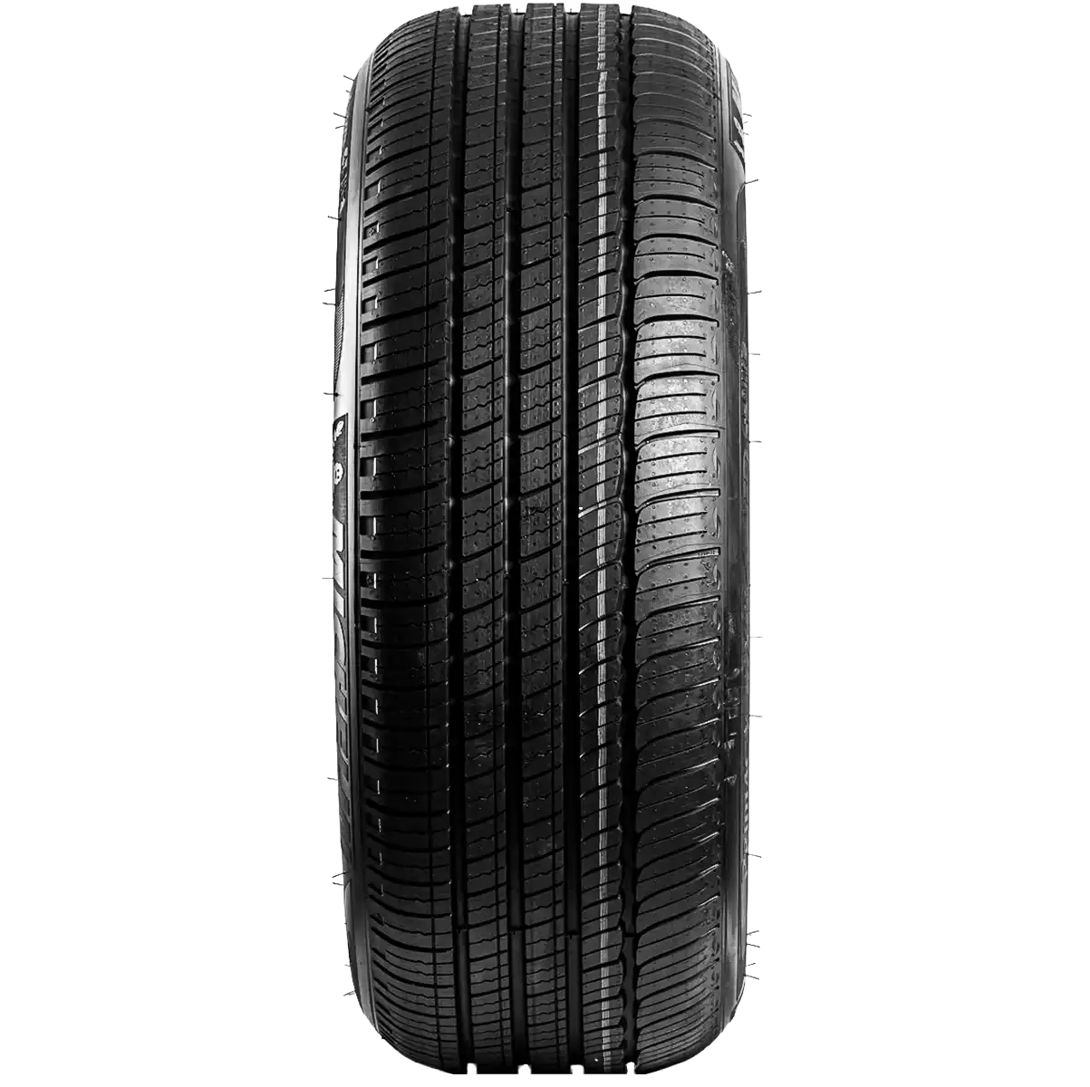 2025 Lexus IS300 F Sport Design Tires | Exact Fit & Installation